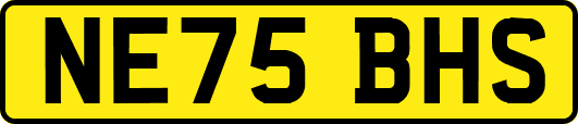 NE75BHS
