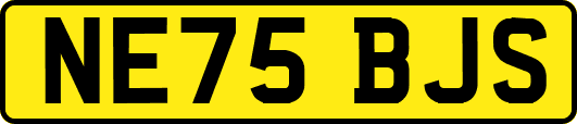 NE75BJS