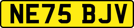 NE75BJV