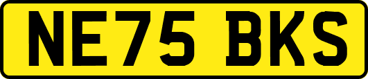 NE75BKS