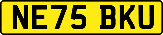 NE75BKU