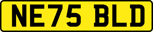 NE75BLD