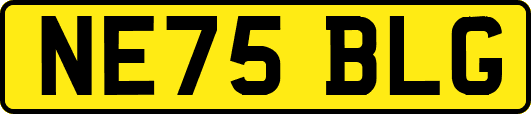 NE75BLG