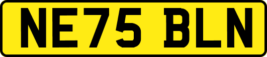 NE75BLN