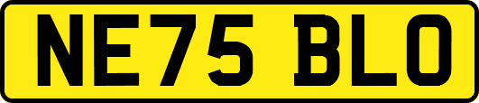 NE75BLO