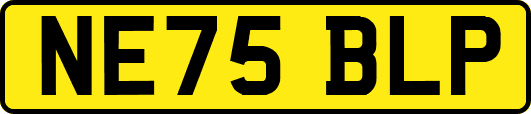 NE75BLP