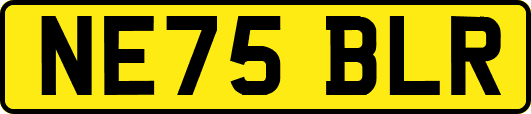 NE75BLR