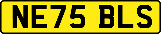 NE75BLS