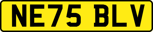 NE75BLV