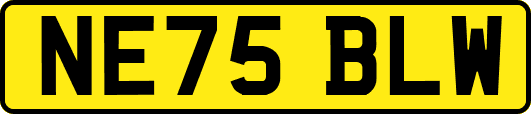NE75BLW