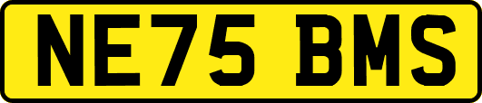 NE75BMS
