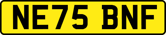 NE75BNF