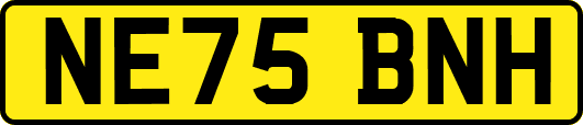 NE75BNH