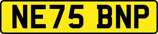 NE75BNP