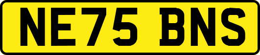 NE75BNS