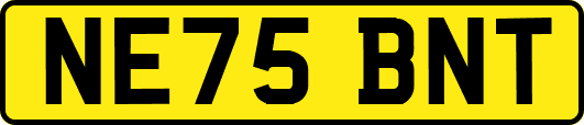 NE75BNT