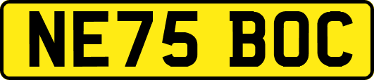 NE75BOC