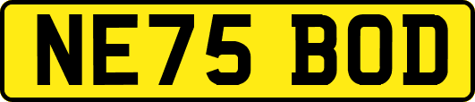NE75BOD