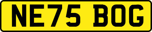 NE75BOG