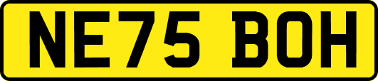 NE75BOH