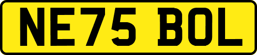 NE75BOL