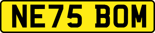 NE75BOM