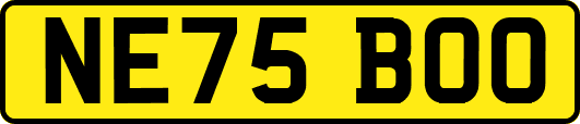 NE75BOO