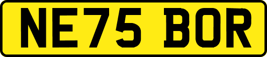 NE75BOR