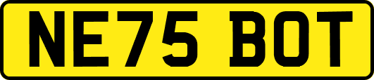 NE75BOT