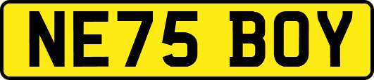 NE75BOY