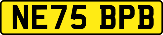 NE75BPB