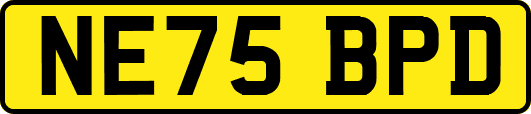 NE75BPD