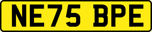 NE75BPE