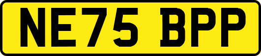 NE75BPP