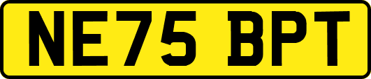 NE75BPT