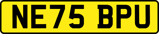 NE75BPU