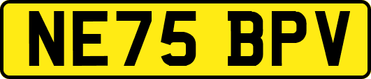 NE75BPV