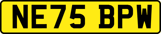 NE75BPW