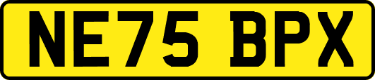 NE75BPX