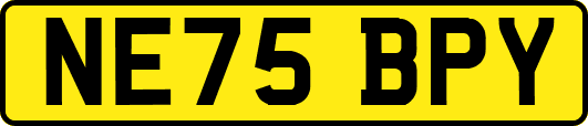 NE75BPY