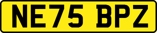 NE75BPZ
