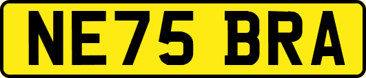 NE75BRA
