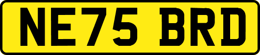 NE75BRD