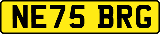 NE75BRG