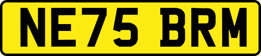 NE75BRM