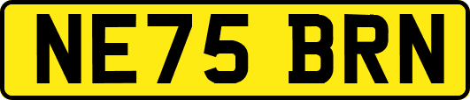 NE75BRN