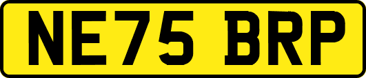NE75BRP