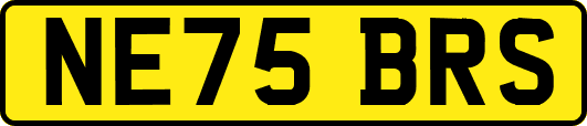 NE75BRS