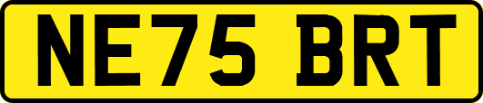 NE75BRT