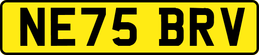 NE75BRV